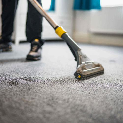 Deep Carpet Cleaning Services – Restore Freshness and Hygiene